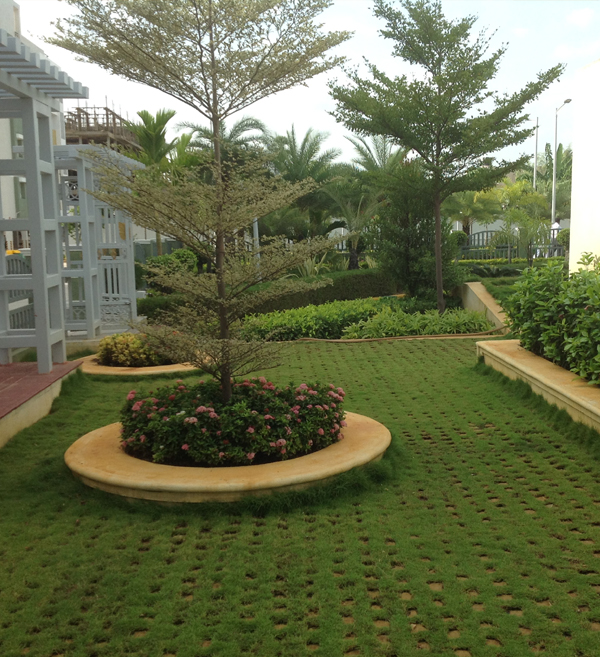 chennai landscape, chennai landscaping, chennai landscape designers, chennai garden maintenance, chennai garden management, chennai terrace gardens,
